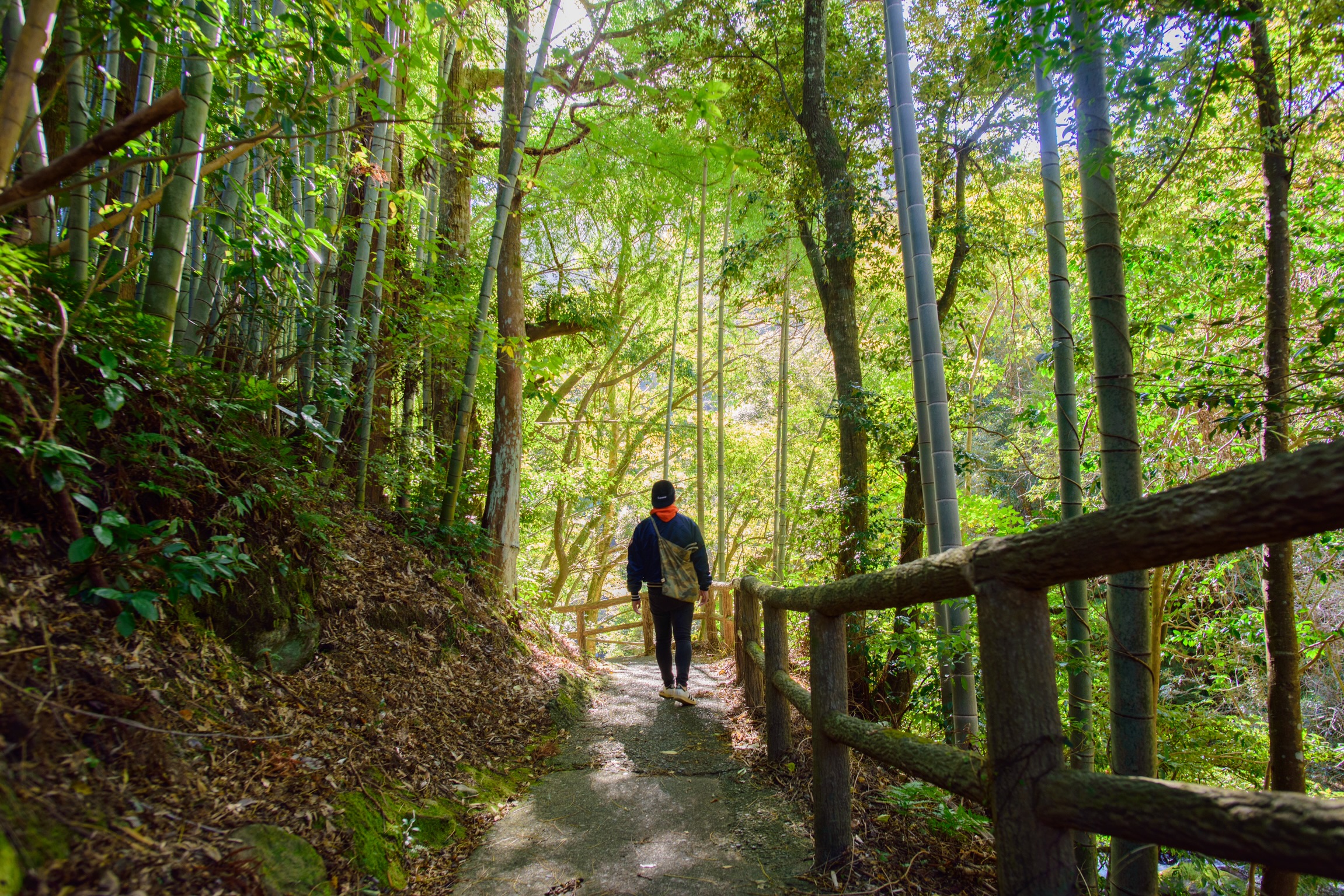 山歩き1